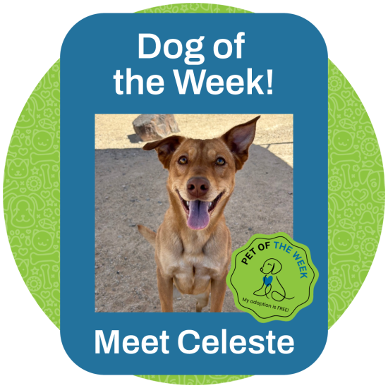 ASMV_POW_Celeste_6.26