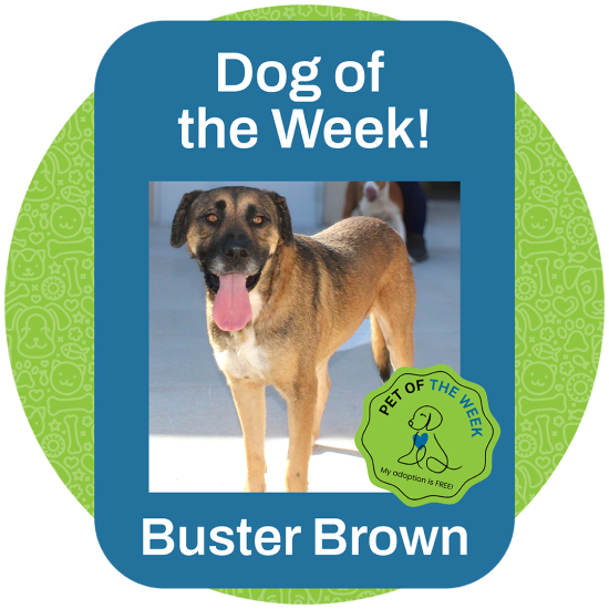 ASMV_PetOfTheWeek_Buster_Brown